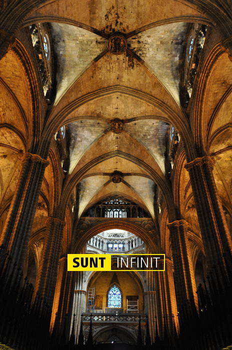 Marius Cristian David