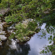 Nandi Lucian