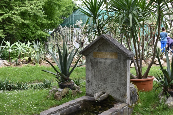 Vezi imaginea la marimea originala