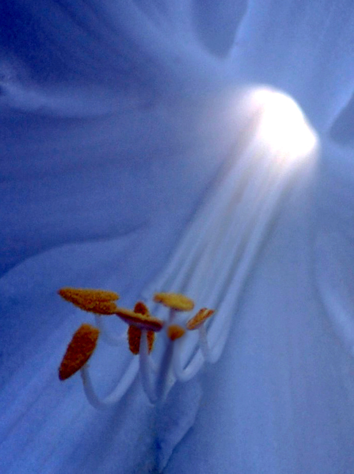 Vezi imaginea la marimea originala