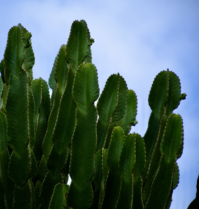 Vezi imaginea la marimea originala