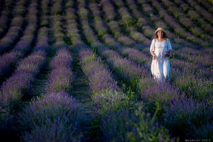 Vezi imaginea la marimea originala