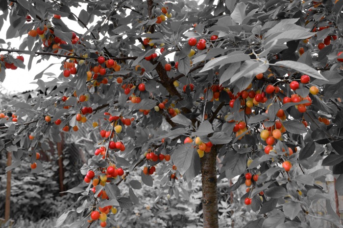 Vezi imaginea la marimea originala