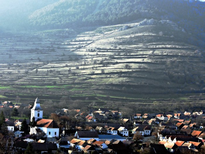 Vezi imaginea la marimea originala